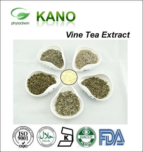 Vine Tea Extract Dihydromyricetin _DMY DHM_